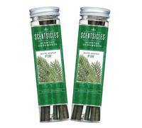 Scentsicles White Winter Fir Scented Ornament Sticks (2 Pack, 12 Total Ornament Sticks)