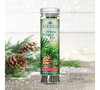Scentsicles White Winter Fir Scented Ornaments - Tube of 6 Hanging Sticks for Trees, Wreaths & Garlands