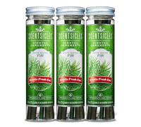 Scentsicles White Winter Fir Scented Ornaments with Hooks - 3 Bottles (18 Sticks Total)