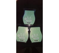 Scentsy, Bonfire Beach, Wickless Candle Tart Warmer Wax 3.2 Oz Bar, 3-pack (3)