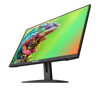 Sceptre New 24" AMD FreeSync 2X HDMI 1X DP Gaming Monitor