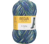 Regia Colour 4 PLY Knitting Crochet Knit Yarn Craft Wool Colourful 100g Ball