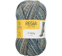 Schachenmayr Regia 4-Thread Color, 100G sage Handknitting Yarns