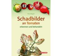 Schadbilder an Tomaten: erkennen und behandeln