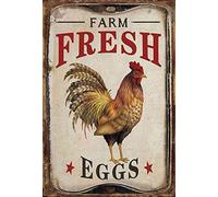 Schatzmix Nostalgia Chicken Farm Fresh Eggs Metal Sign 20 x 30 cm Decorative Tin Sign Tin Sign Tin Multi-Coloured