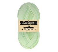 Scheepjes Arcadia Tones 100g - 702 Bamboo Green Yarn