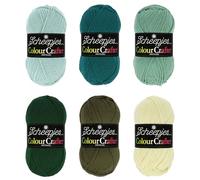 Scheepjes Colour Crafter Colour Pack 6x50g - The Veluwe, Green