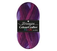 Scheepjes Colour Crafter Parade 1x100g - 407 Purple Blend Crochet and Knitting Yarn