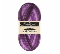 Scheepjes - Scheepjes Arcadia 901 Erica - Resistant Sock Yarn - 1x100g