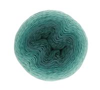 Scheepjes - Scheepjes Whirl 562 Petrol Please Me Yarn - 1x1000m