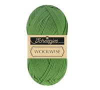 Scheepjes Woolwise 100g 756 Agave Green Superwash Merino Yarn
