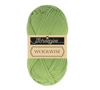 Scheepjes Woolwise 1x100g - 755 Pine Needle, Green Knitting and Crochet Yarn