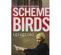 Scheme Birds