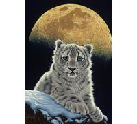 Schim Schimmel - Moon Leopard