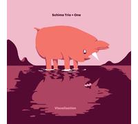 Schime Trio + One - Visualisation