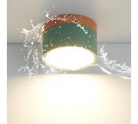 Schindora LED Ceiling Light,Surface-Mounted Wood Decor Spotlight,Mini Round Green Ceiling lamp,Warm White 3000K,12W.