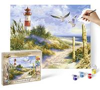 Schipper 609130884 Paint by Numbers - Dunes Landscape - Painting Pictures for Adults, Includes Brush and Acrylic Paints, 40 x 50 cm