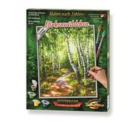 Schipper 609240801 Painting by Number Birch Forest 24 x 30 cm