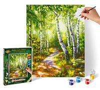 Schipper 609240801 Painting by Number Birch Forest 24 x 30 cm