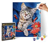 Schipper 609240842 Paint by Numbers - Cat in Backpack Painting for Adults, Includes Brush and Acrylic Paints, 24 x 30 cm