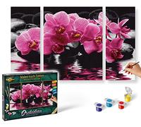 Schipper 609260603 "Orchids Triptychon Paint By Numbers Board