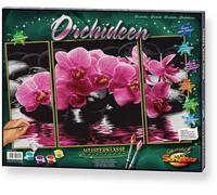 Schipper 609260603 "Orchids Triptychon Paint By Numbers Board