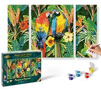 Schipper 609260853 Painting by Numbers - Papagaien in the Rainforest Painting for Adults Including Brush and Acrylic Paints Triptych 50 x 80 cm