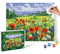 Schipper Painting By Numbers Flower Meadow Master Class Premium Painting Template 40x50 cm