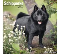 Schipperke 2027 Calendar | Square Wall Calendar | Dog Breed Gift | Plastic Free Packaging | by Avonside Publishing