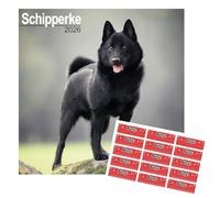 Schipperke Calendar 2026 | 16 months | with FREE Organisational Stickers, Schipperke Gift
