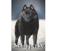 Schipperke: Dog breed overview and guide