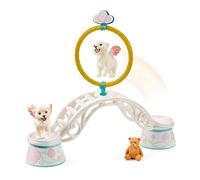 Schleich - Winged Baby Lion Training