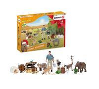 Schleich 98272 Wild Life Advent Calendar