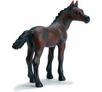 Schleich Arabian Foal 13276 Collector 2003 Animals Horses Horse