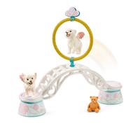 Schleich Bayala Figure - Winged Baby Lion Training