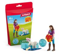 Schleich Birthday Party With Lisa