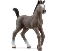 SCHLEICH 13957 Cheval de Selle Francais Foal Horse Club Toy Figurine for children aged 5-12 Years