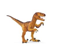 Velociraptor