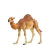 SCHLEICH Wild Life Realistic Dromedary Camel Figurine - Authentic and Highly Detailed Wild Animal Toy, Durable for Education and Fun Play, Perfect for Boys and Girls, Ages 3+, Multicolor, 3.9 inch