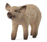 Schleich Farm Life Mangalica Piglet Schleich Multicolor