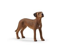 Schleich Farm World Rhodesian Ridgeback Figurine - Realistic Kids' Animal Toy, A