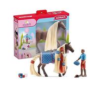 Schleich Starter Set Leo