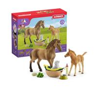 Schleich Horse Club - 9 PC Animal Care Figurine Playset with Horse Figure Foal and Dog with Accessories - Imaginative Play Toys for Girls and Bo