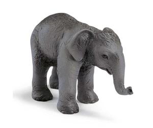 Schleich - Indian Elephant Calf