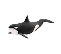 SCHLEICH Wild Life, Animal Figurine, Animal Toys for Boys and Girls 3-8 Years Old, Killer Whale, Ages 3+