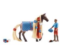 Schleich Leorocky Starter Set 42586 Toy
