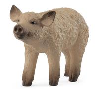 Schleich Mangalica Piglet