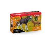 Schleich Moose With Calf (Natgeo)