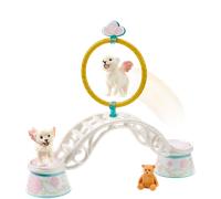 Schleich Training for Winged Baby Lions - 42524