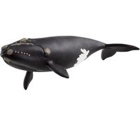 SCHLEICH Wild Life - Large 7.5" Right Whale Toy Figurine. Realistic Hand-Painted Hard Animal Toys for Boys and Girls. Durable, Educational Figure for Imaginative Play. Kids and Toddlers Ages 3+ 14878